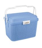 سبد پیک نیک گلدیس 2 آبی