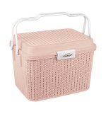 سبد پیک نیک گلدیس 2 صورتی