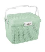 سبد پیک نیک گلدیس 2 سبزآبی