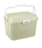 سبد پیک نیک گلدیس 2 کرم