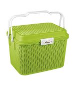 سبد پیک نیک گلدیس 2 سبز