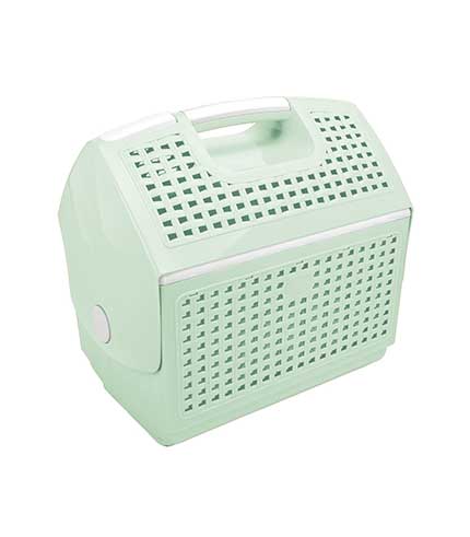 سبد پیک نیک گلرو 2 سبز روشن