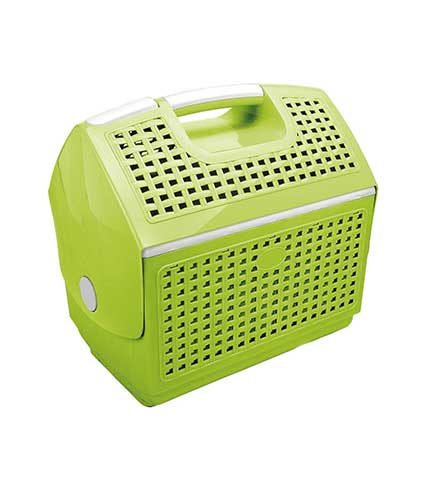 سبد پیک نیک گلرو 2 سبز