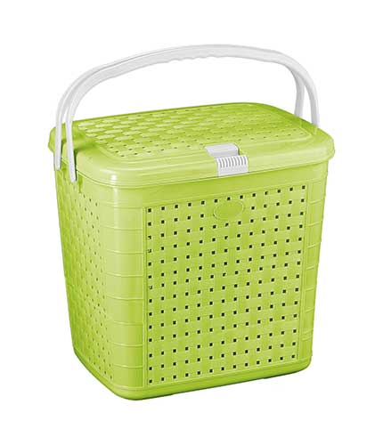 سبد پیک نیک گلرنگ 2 سبز