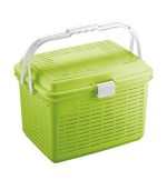 سبد پیک نیک گلریز 1 سبز