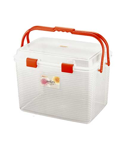 سبد پیک نیک گلچهره 2